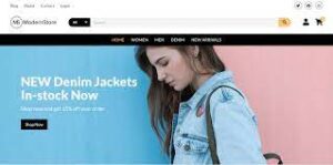 eCommerce WordPress Themes