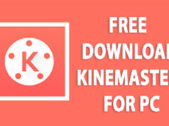 kinemaster for pc