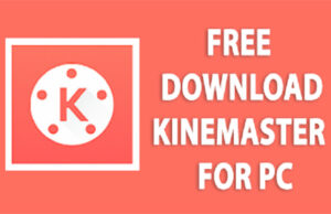 kinemaster for pc