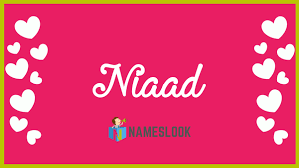 niaad.com