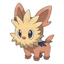 dog pokemon