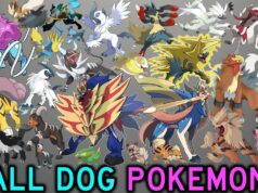 dog pokemon