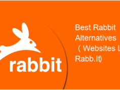 rabbit