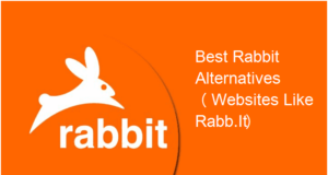 rabbit