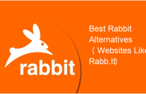 rabbit