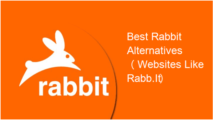 rabbit