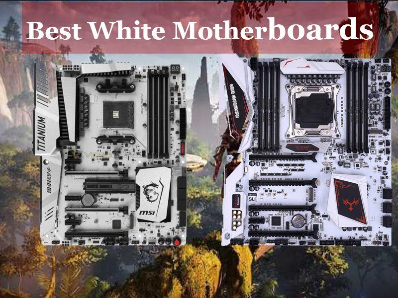 white motherboard