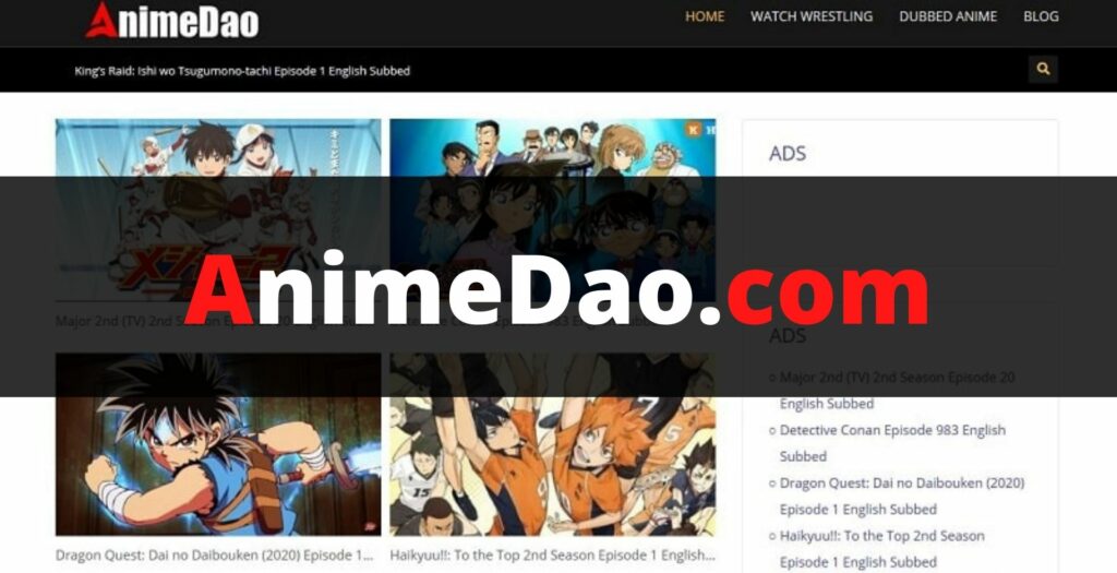 AnimeDao