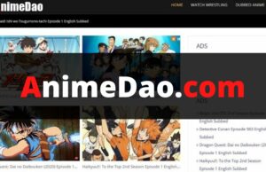 AnimeDao