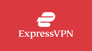 business vpn services