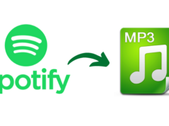 Spotify to MP3