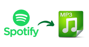 Spotify to MP3