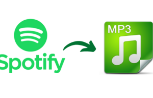 Spotify to MP3